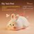 Lying Bunny Ordinary Style